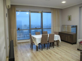 Spacious Downtown Baku Apartment